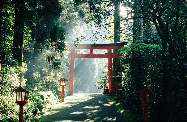 Torii gate au Japon
